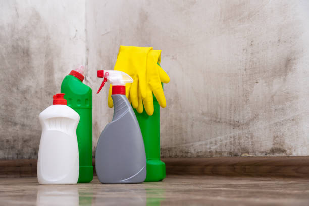 Why You Should Choose Our Mold Remediation Services in Granby, CO